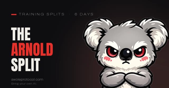 Grumpy koala mascot beside bold "The Arnold Split" text — Swole Protocol's guide to the classic 6-day routine