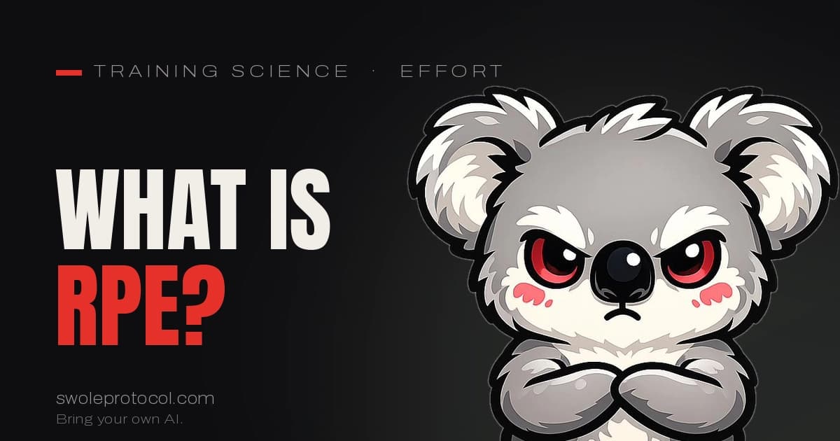 Grumpy koala mascot beside bold "What is RPE?" text — Swole Protocol's guide to RPE and RIR in training
