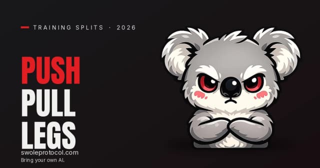 Grumpy koala mascot with arms crossed beside bold "Push Pull Legs" text — Swole Protocol's complete PPL split guide